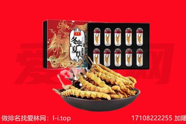 文昌冬虫夏草回收